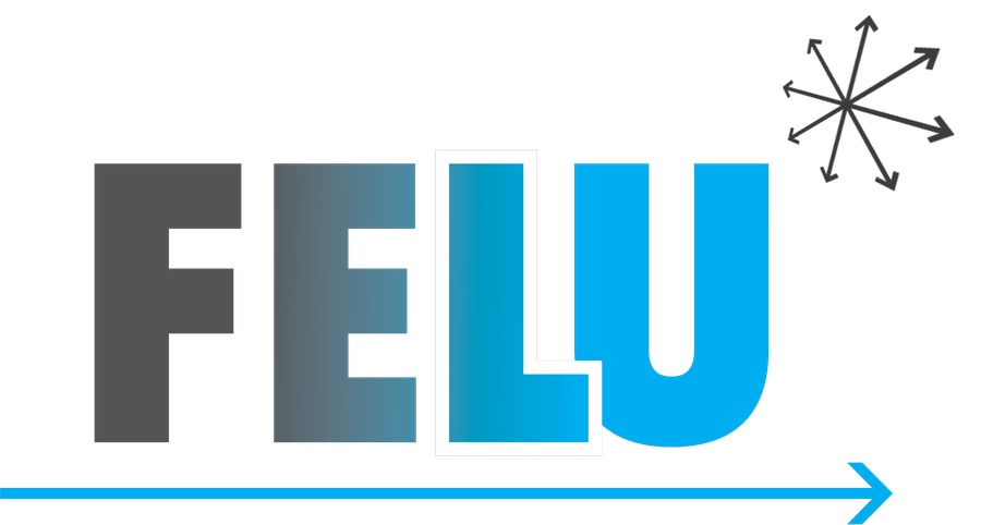 FELU Engineering en Electro